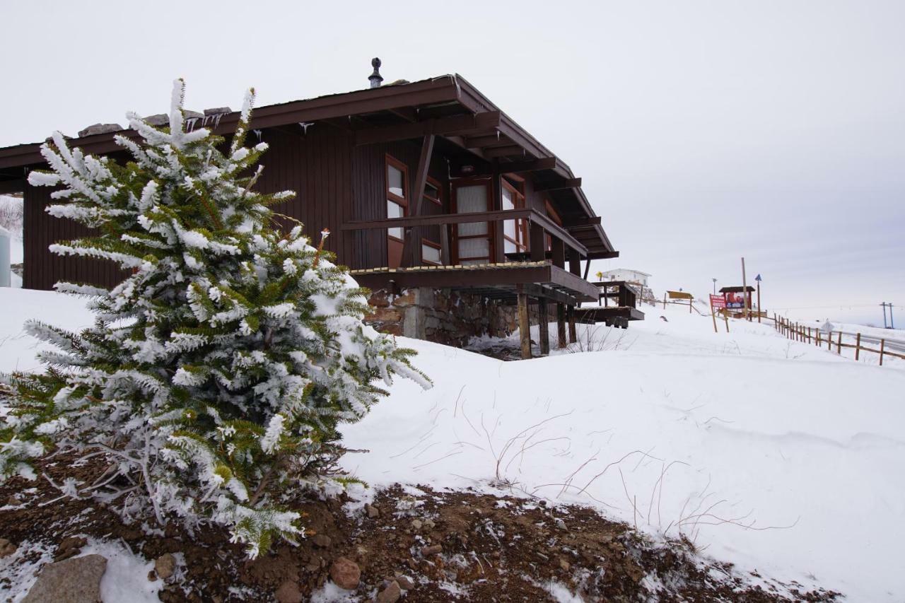 El Colorado Bungalows エクステリア 写真